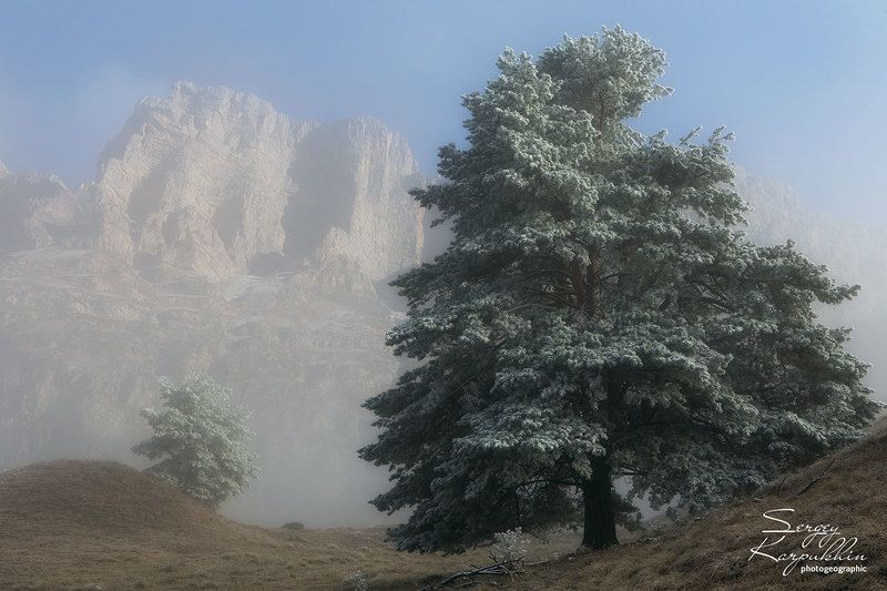 кавказ, ингушетия, заповедник эрзи Прохладное утро. фото превью