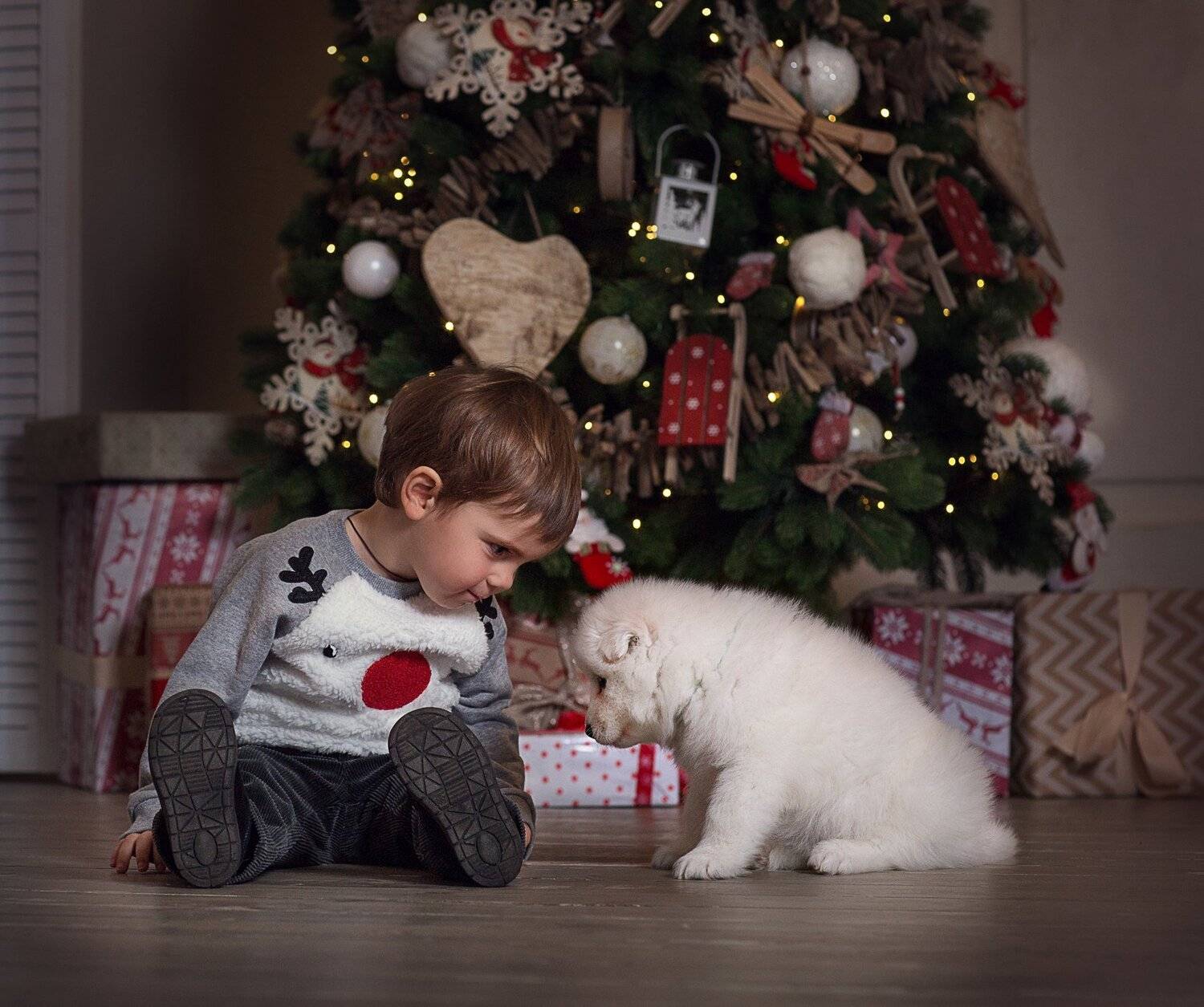 , Диана Аникеева