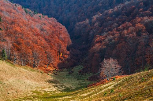 Осень в Карпатах