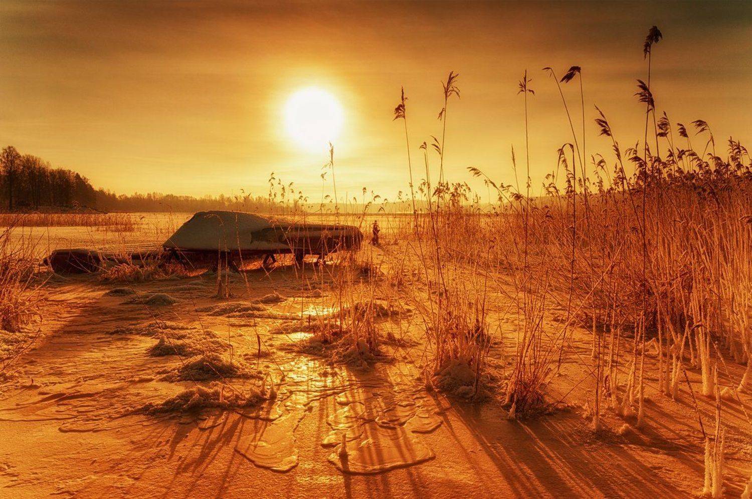 , Евгений Плетнев