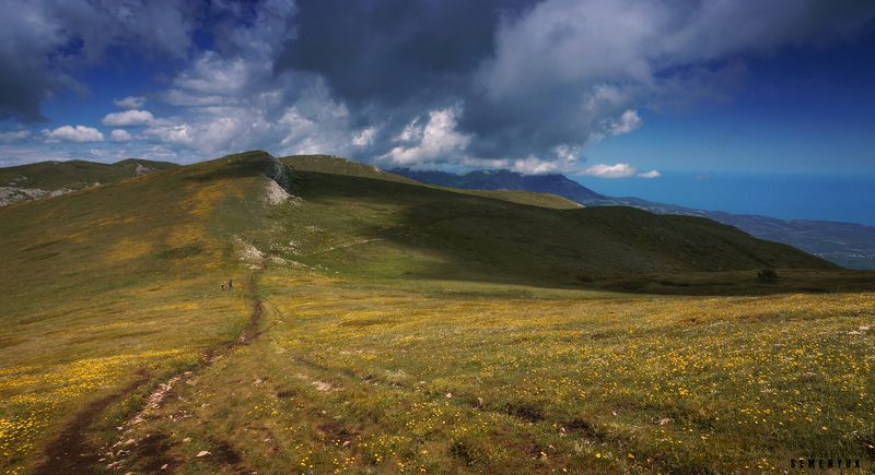 Цветущий Чатыр-Даг. фото превью