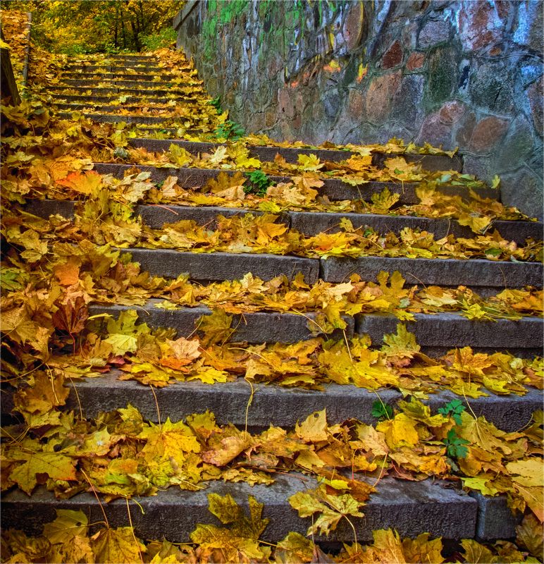 лестница в осень фото превью