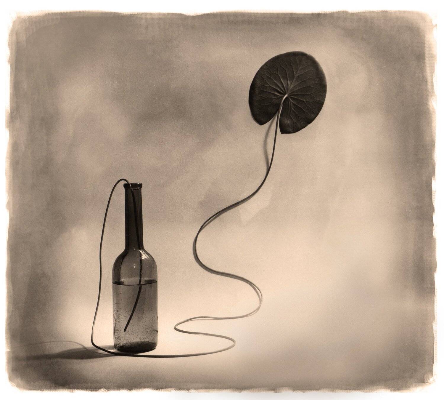 , Виктор Кириллов