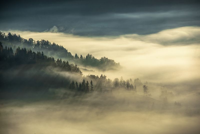 Утренние туманы фото превью