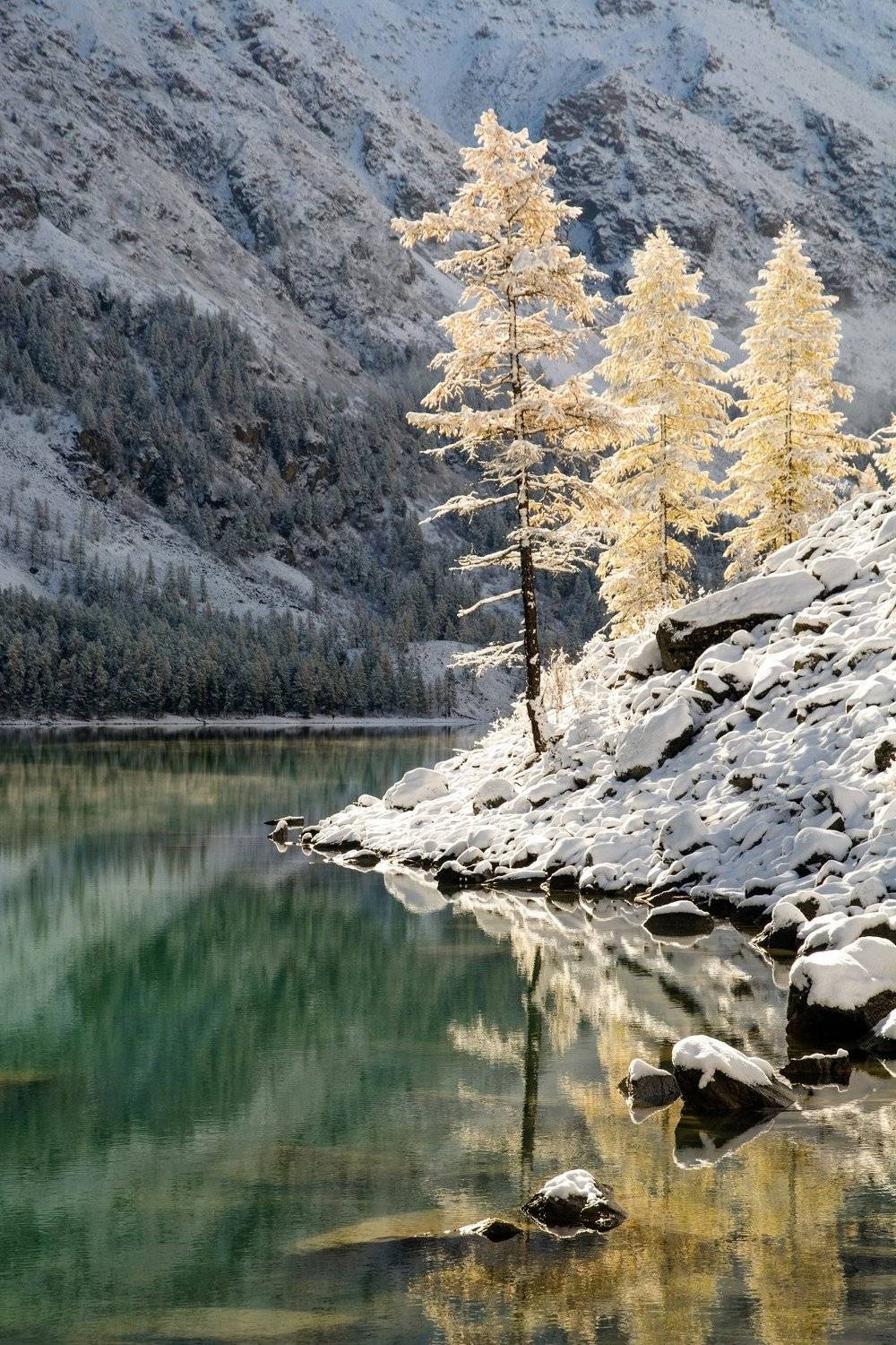 алтай,осень, Алексей Кретов