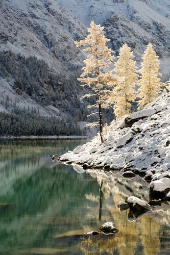 золото и серебро