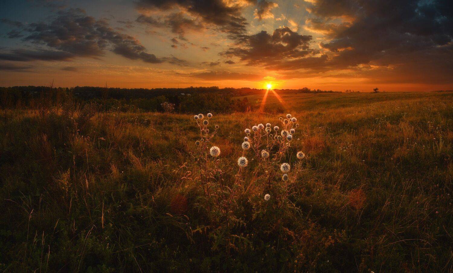 россия, липецкая область, ворголы, рассвет, природа, пейзаж, мордовник, скалы, река, лес, равнина, небо, Оборотов Алексей