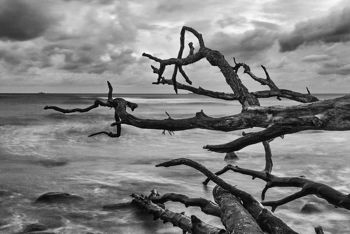 , Геннадий Новов