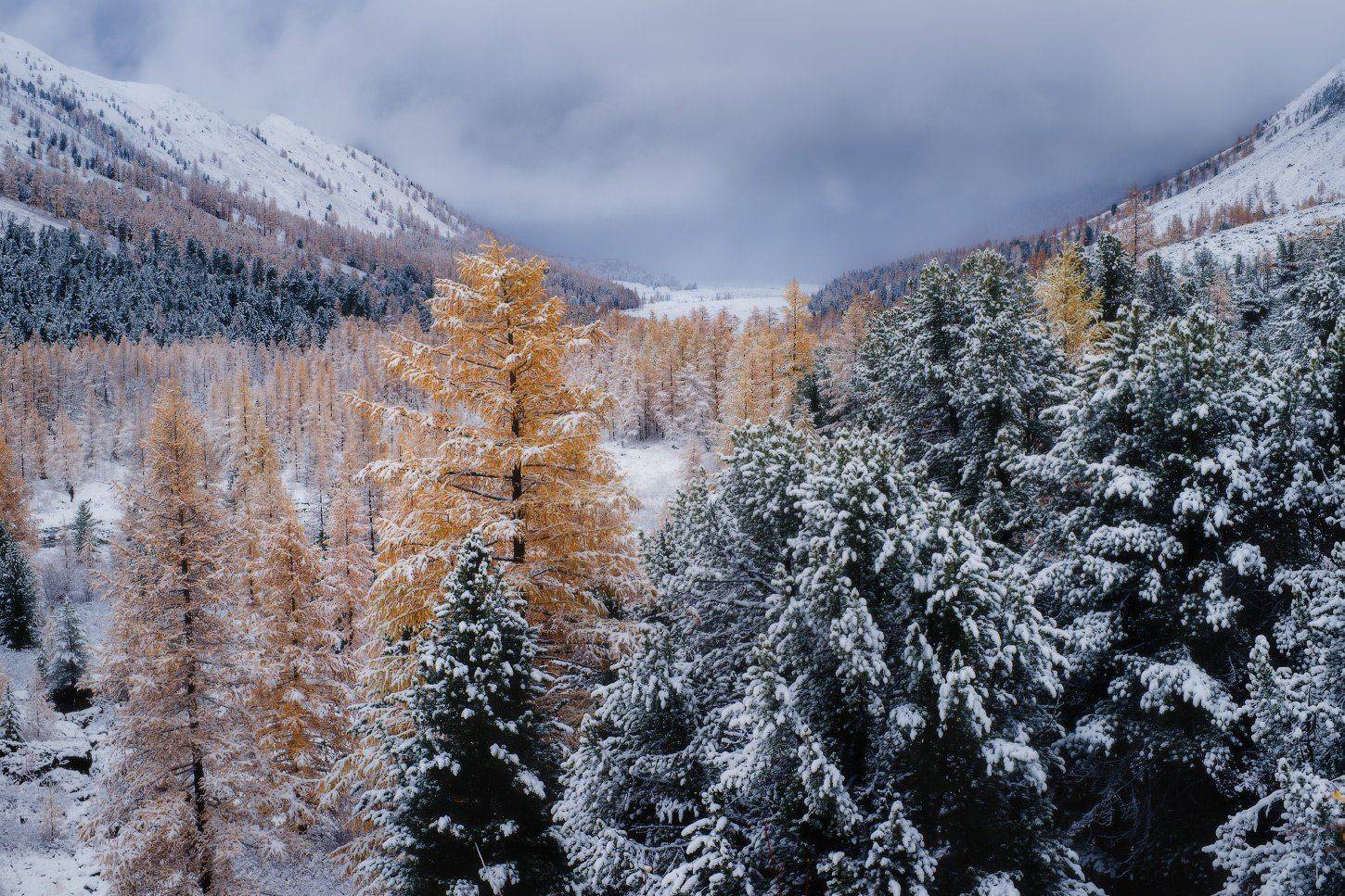 алтай, горы, осень, актру, Владимир Ляпин