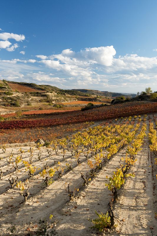 La Rioja. фото превью