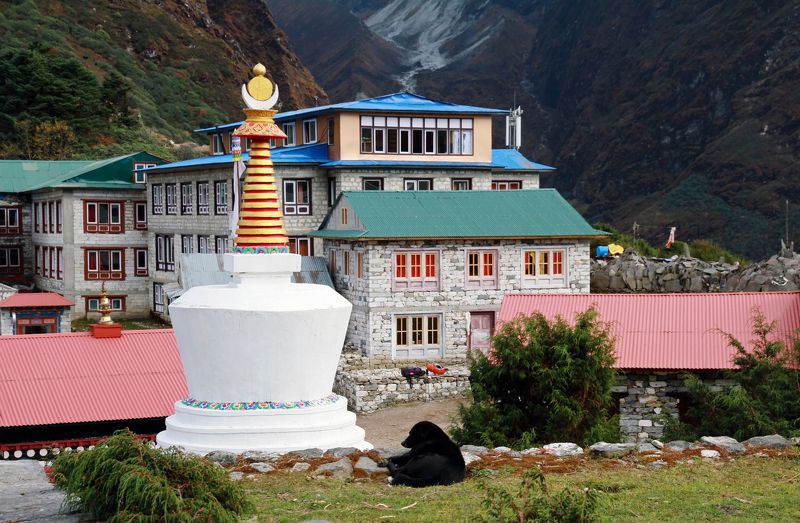 Тенгбоче, Непал, Гималаи *** фото превью