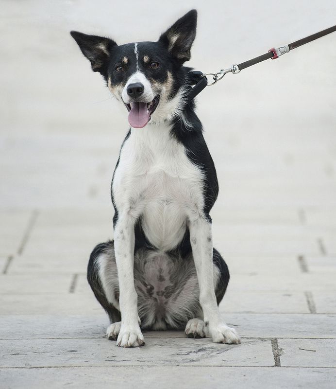 untitled# фото превью