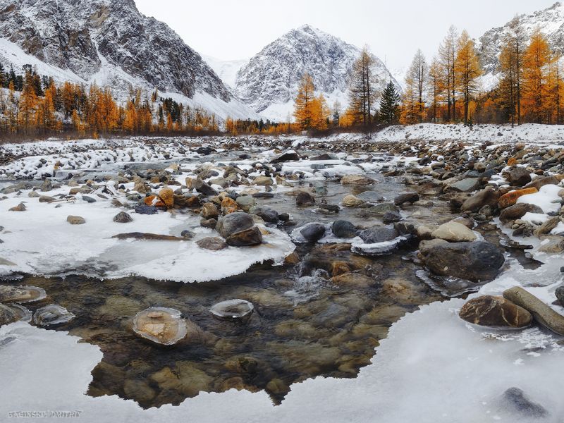 алтай, осень, актру Долина реки Актру фото превью