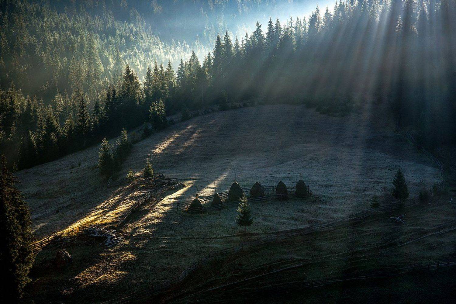 утро, лучи, лес, стога, апусены, горы, поляна, осень,, Леонид Закревский