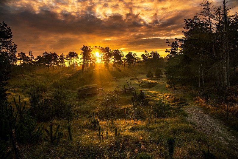 ... фото превью