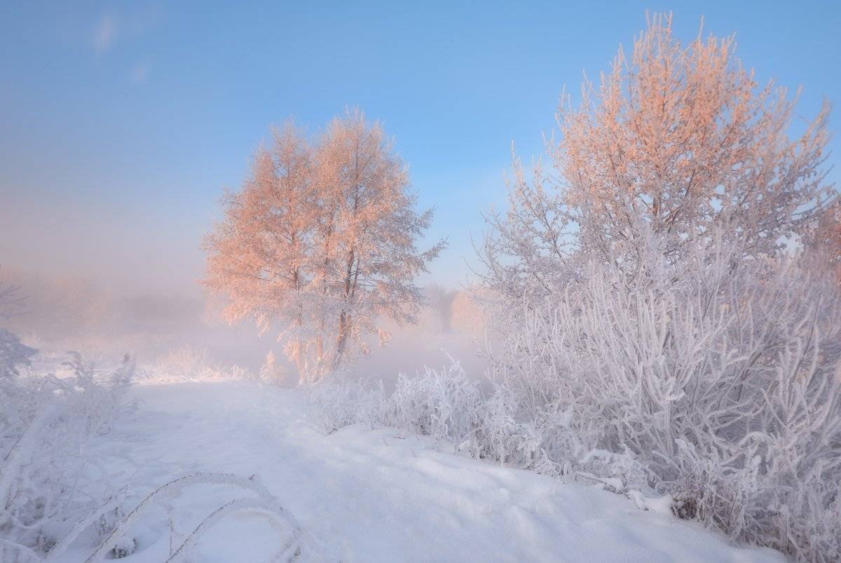 , Романский Владимир (NikonZoom)