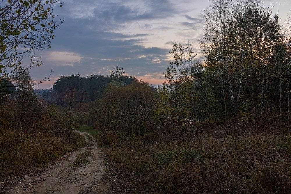 пейзаж,природа,осень,дорога,рассвет,утро,, Taras