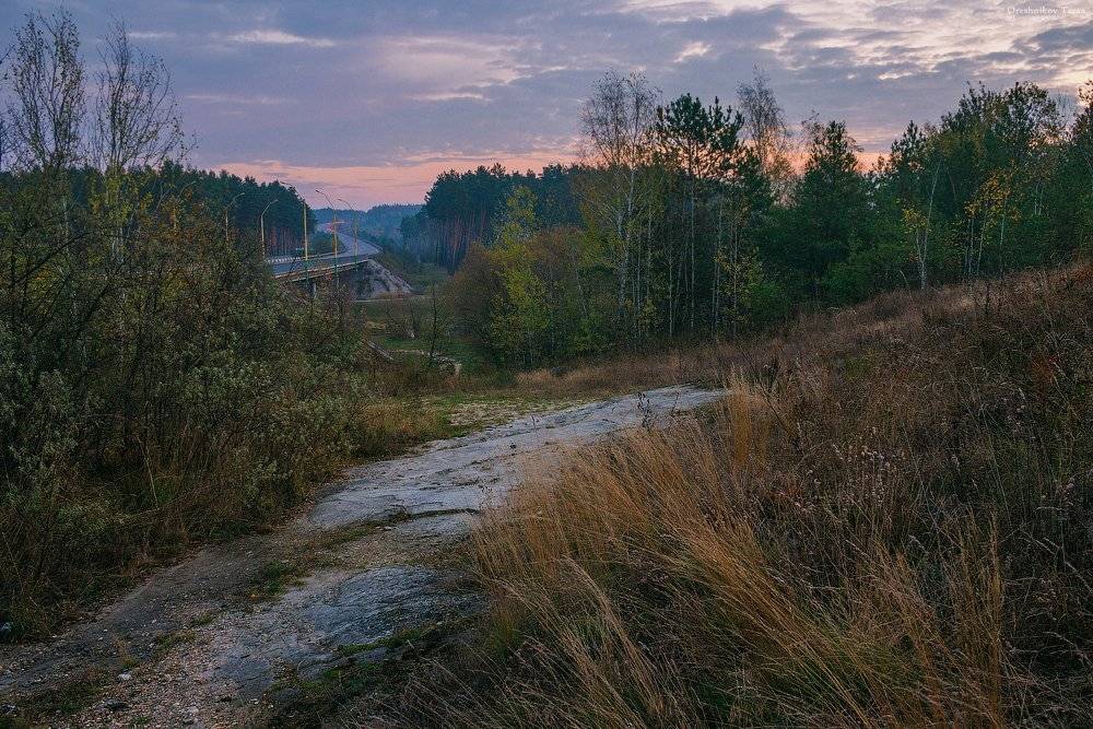 пейзаж,природа,осень,дорога,рассвет,утро,, Taras