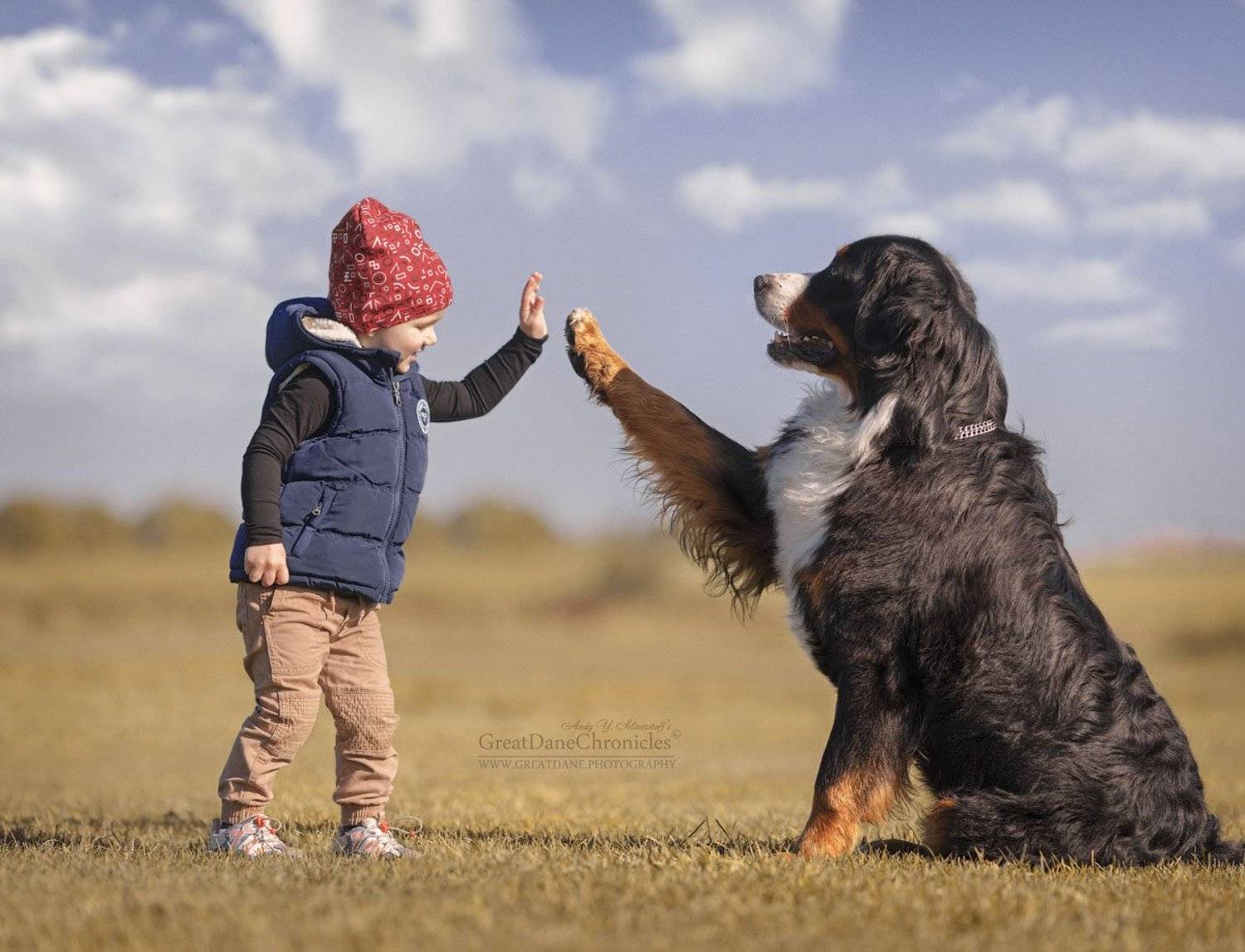 , Андрей Селиверстов