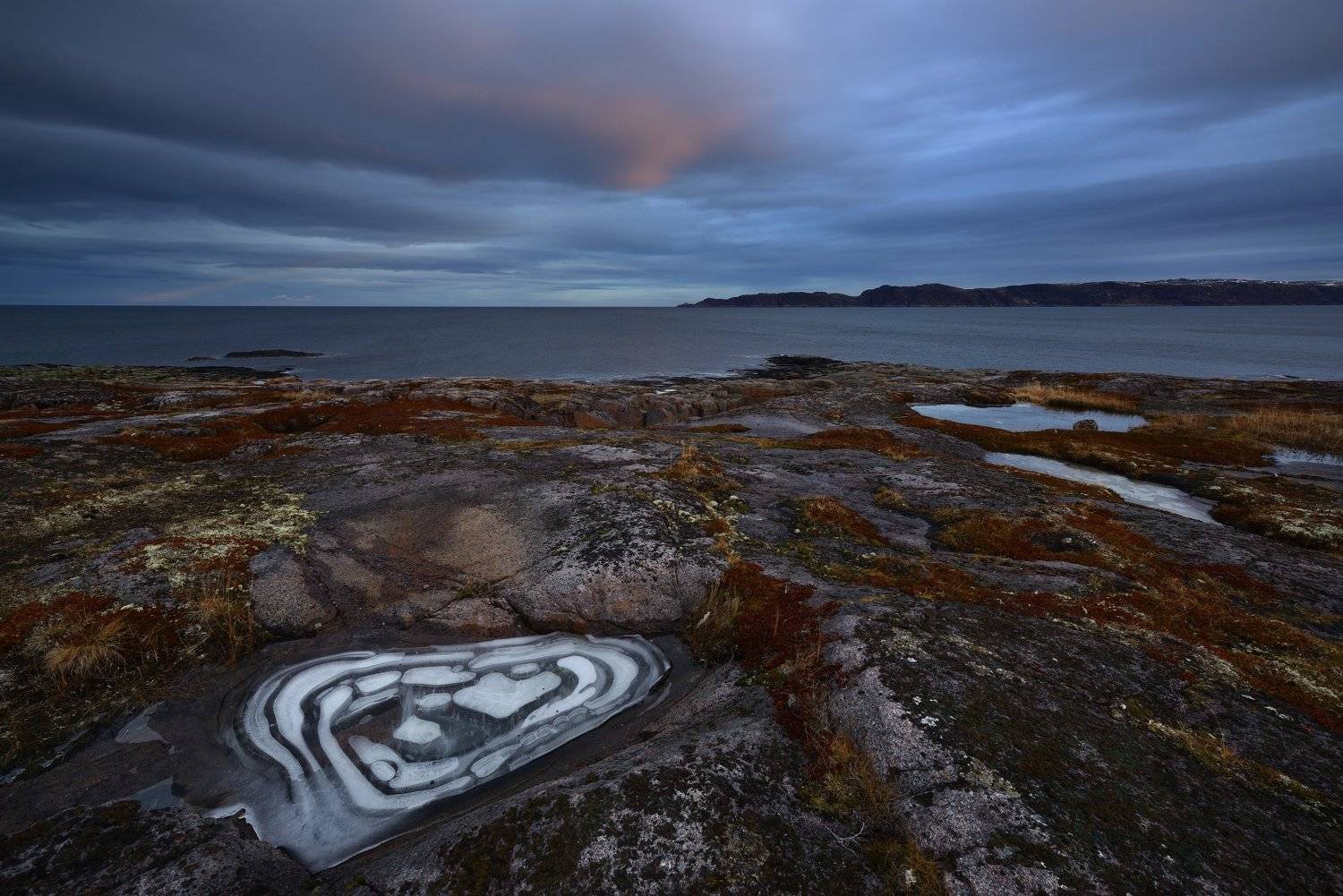 , Максим Евдокимов (www.wildphotorus.ru)
