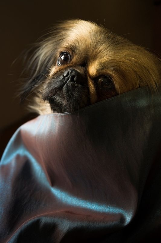 Tina фото превью