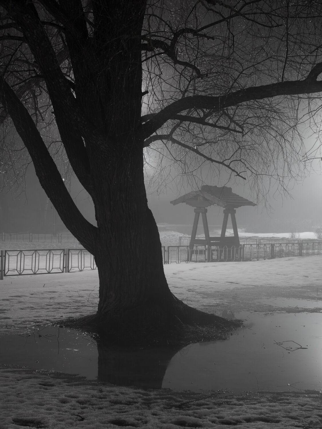 , Тимофей Шутов