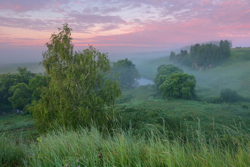 летнее утро фото превью