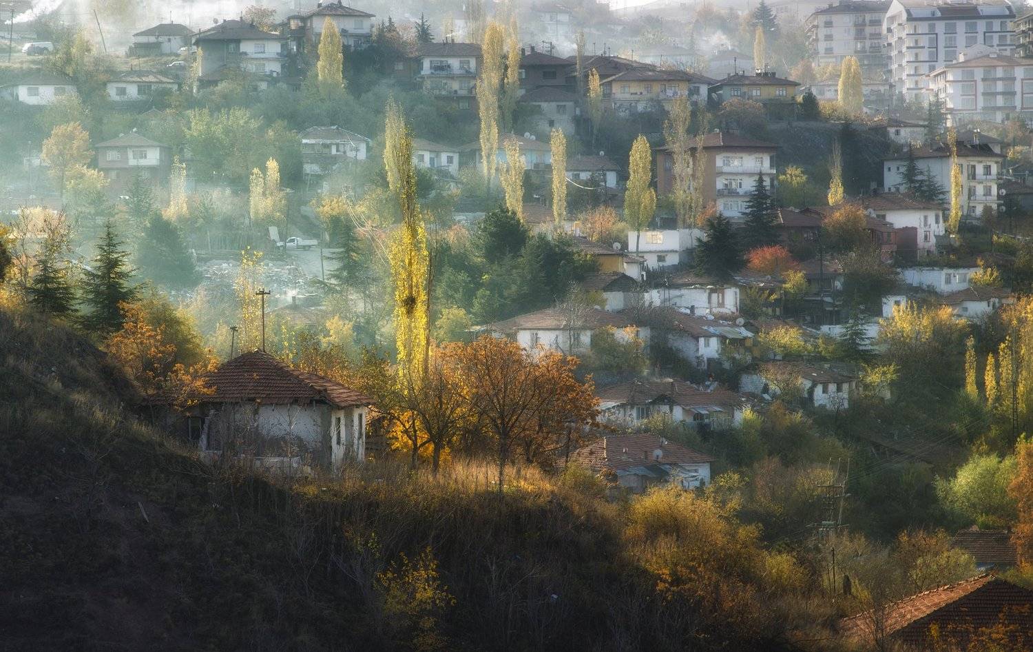 city,autum, ORHAN K&Ouml;SE