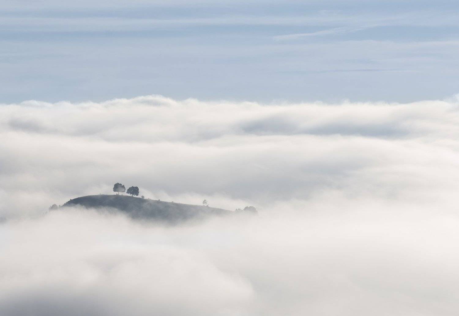 , Васил Анастасовски