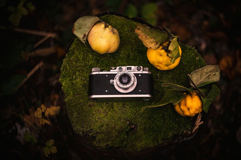 Натюрморт с айвами фото превью