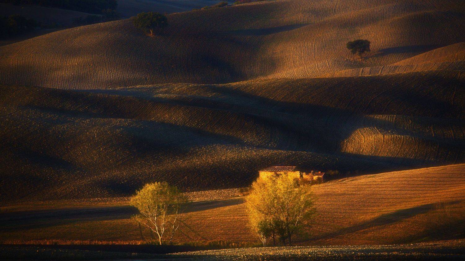 тоскана, рассвет, свет, тени, дорога, гладиаторов, Вениамин Дардык