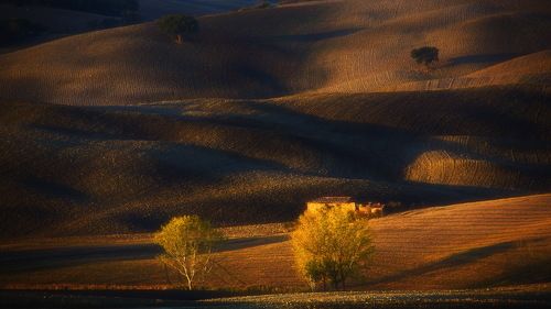 Волшебный свет Тосканы