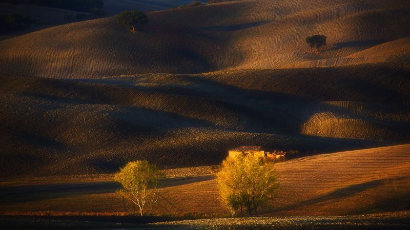 тоскана, рассвет, свет, тени, дорога, гладиаторов Волшебный свет Тосканы фото превью