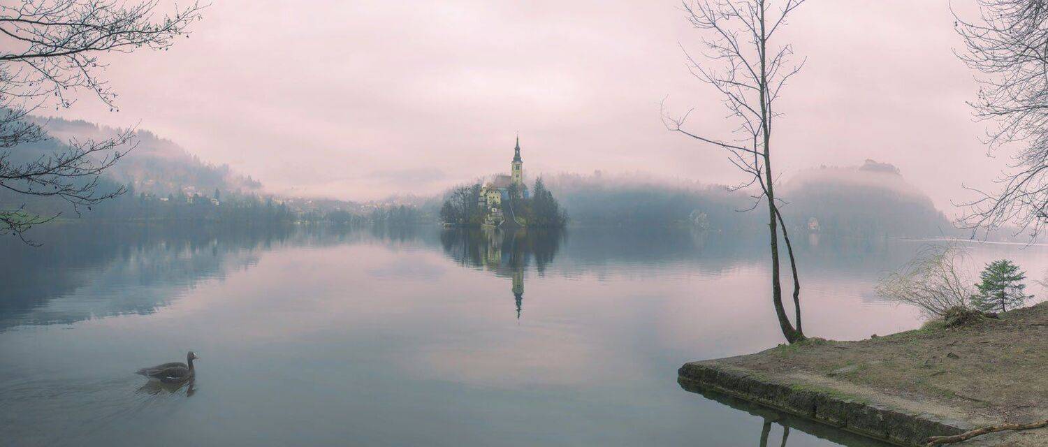 , Владимир