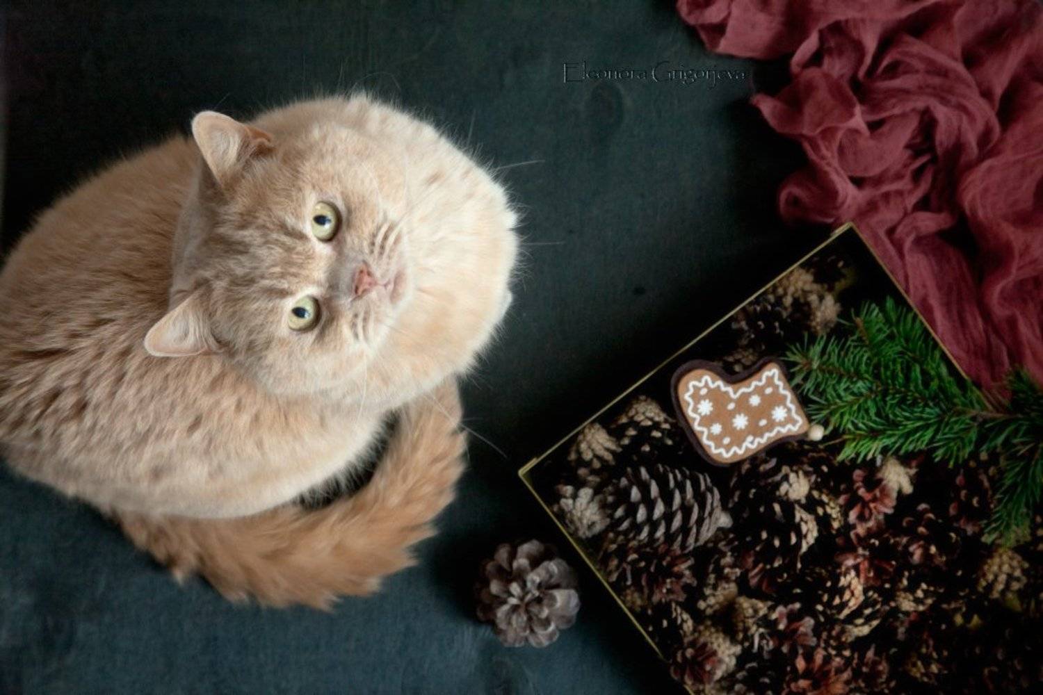 , Eleonora Grigorjeva