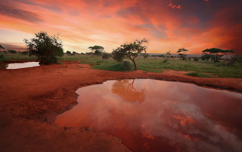 Kenya фото превью