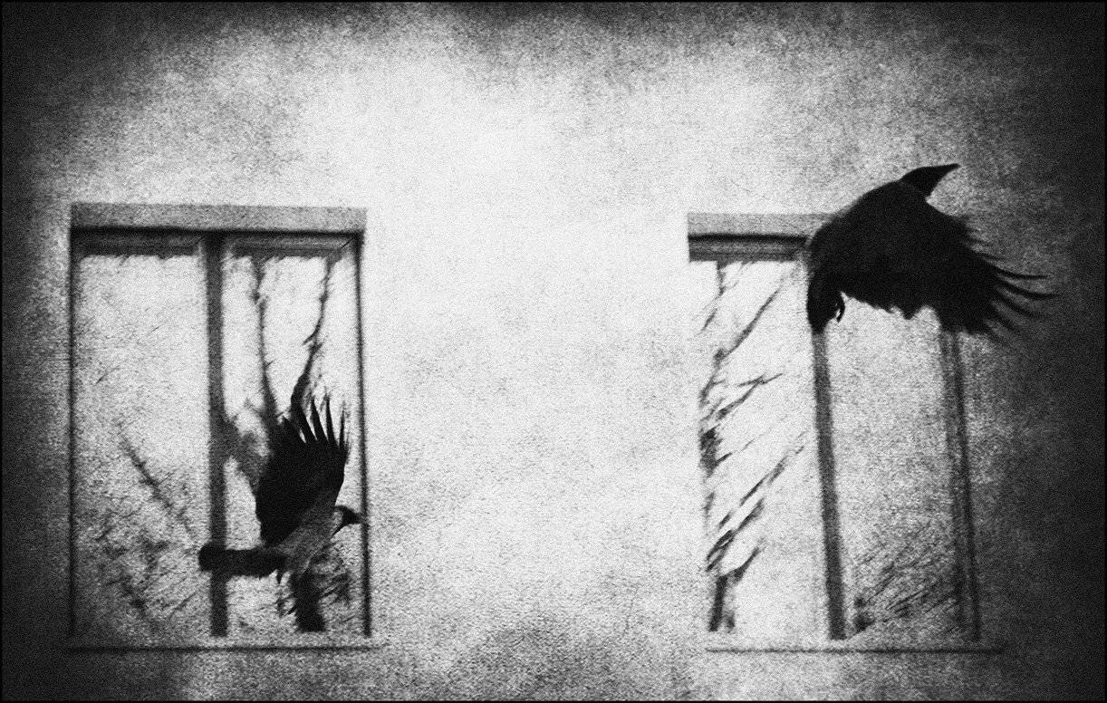 , Krzysztof Trojanowski