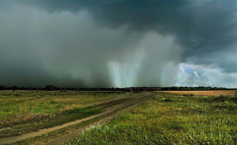 Эти летние дожди фото превью