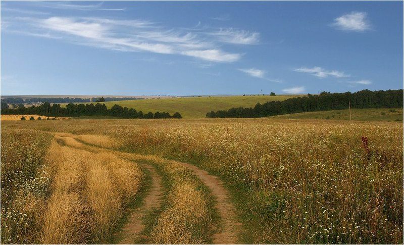 Эх, дороги фото превью