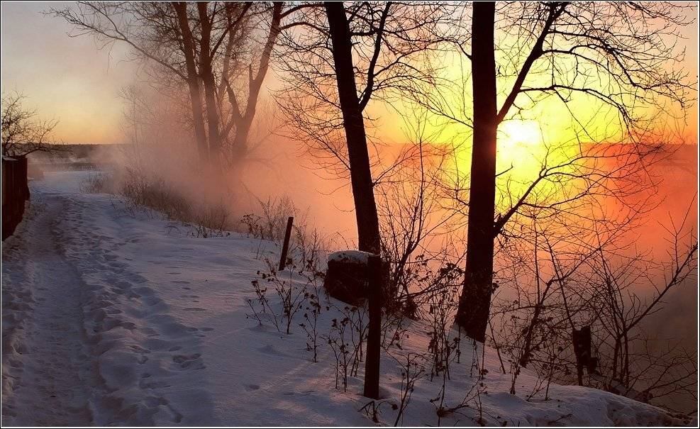 россия, подмосковье, река, туман, зима, мороз, пехорка, Сергей Гаспарян