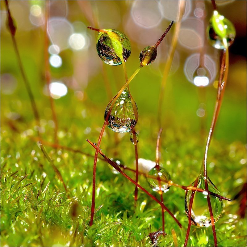 Вверх тормашками. фото превью