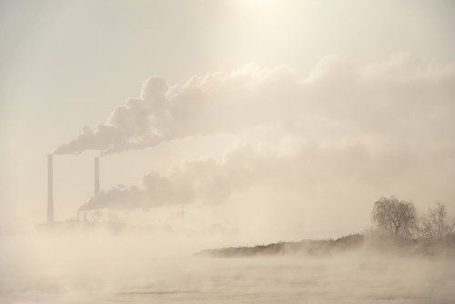 Cold morning
