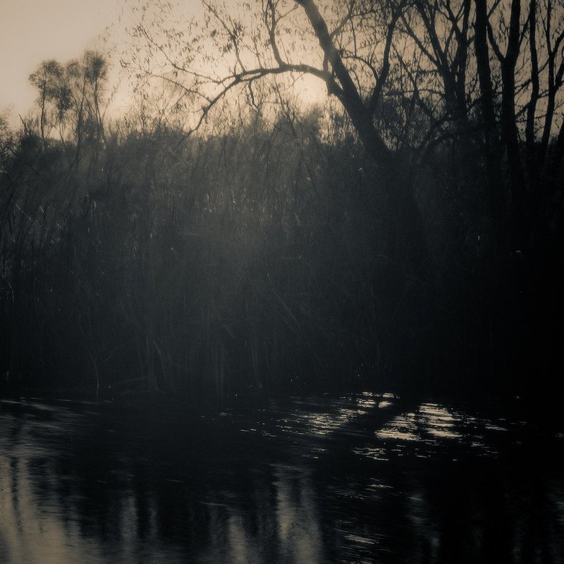 ~ фото превью