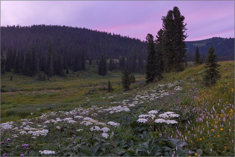 сибирь, западный, саян, ергаки ВЕЧЕР В ДОЛИНЕ р. БУЙБА фото превью