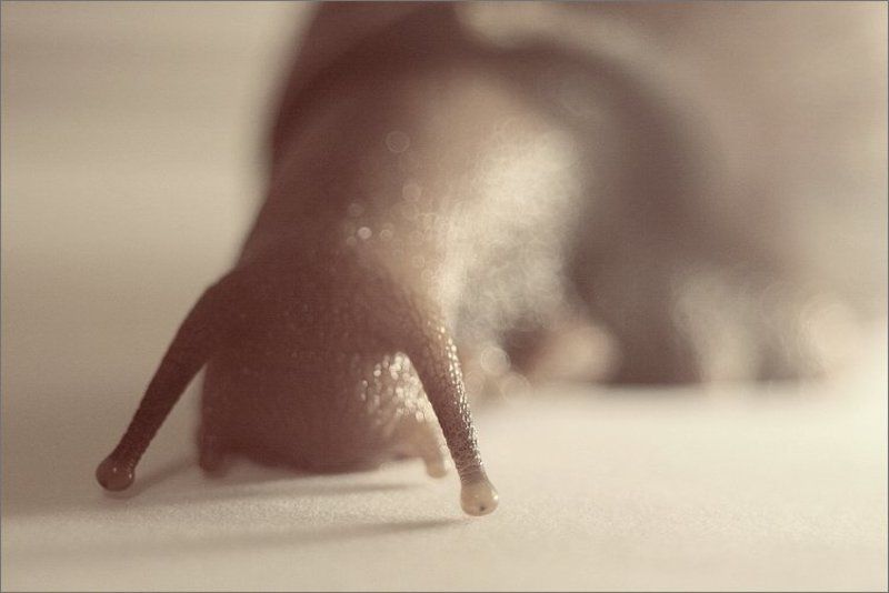 Близорукость фото превью