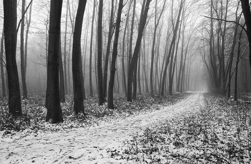 перспектива, пейзаж, жанр, ч/б, \