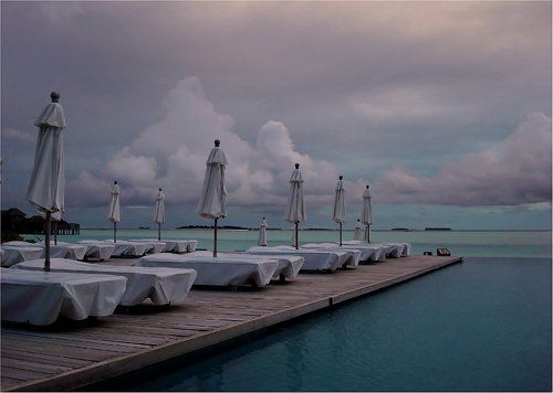 сиреневая тишина