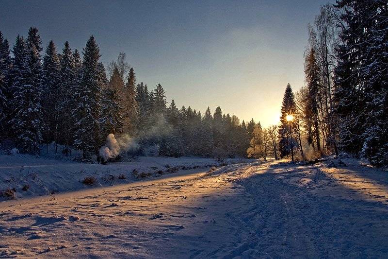 зима, закат, лес, Sergey