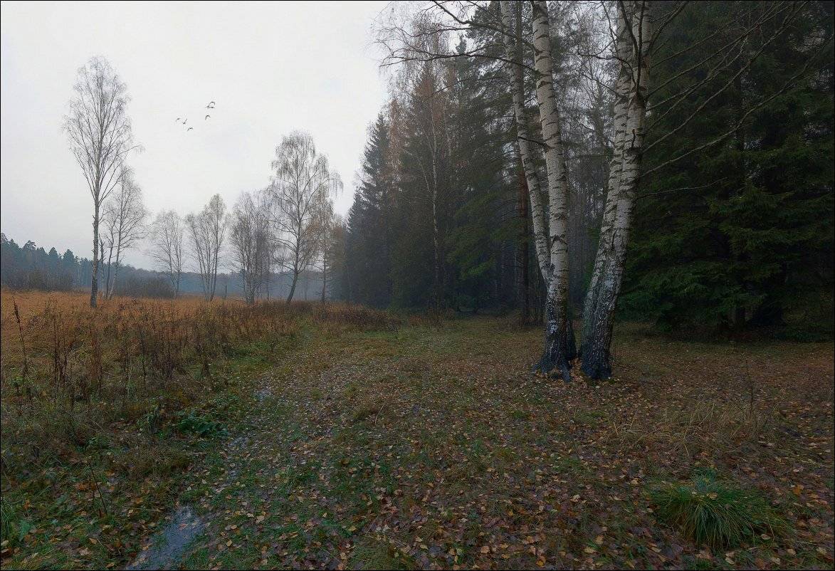 , Вадим Никифоров