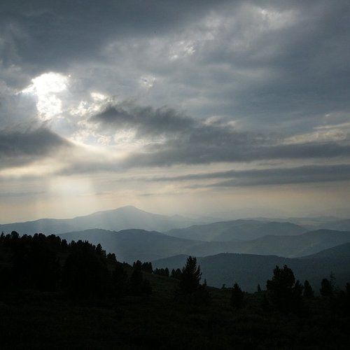 Gray light